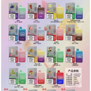 LANA拉娜電子煙 BAR可充电一次性拋棄式霧化5000口(3.0%)