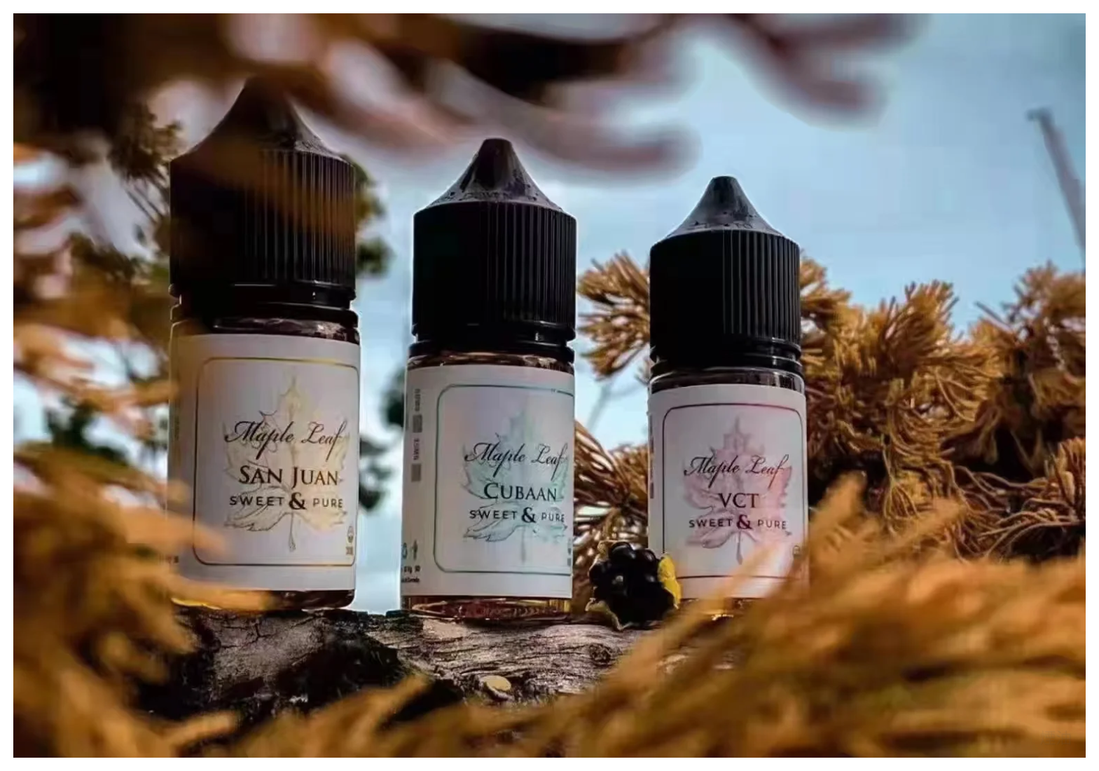 Maple Leaf 楓葉小煙油 30ML 加拿大原裝進口 台灣現貨現發